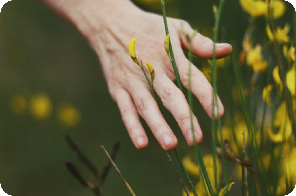 gardening hand